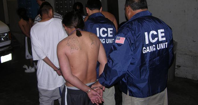 Deportations of gang members to El Salvador are on the increase this year. U.S. federal agents are pictured detaining MS-13 gang members in Maryland in 2013.